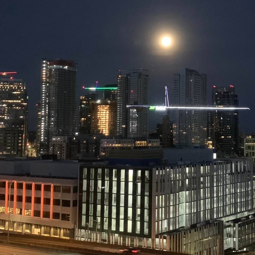 Meet your Posher, Horitaka